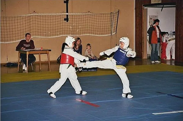 Budo